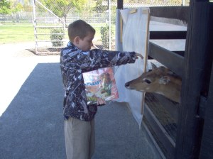 Liam introducing Phyllis to a grown deer at the petting zoo
